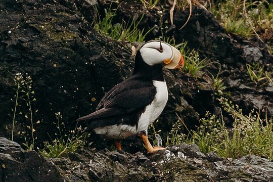 Tour image 6